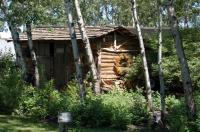 2009-canada-day_054.JPG
