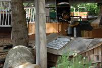 2010-canada-day 059.jpg