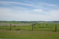 2010-canada-day 144.jpg